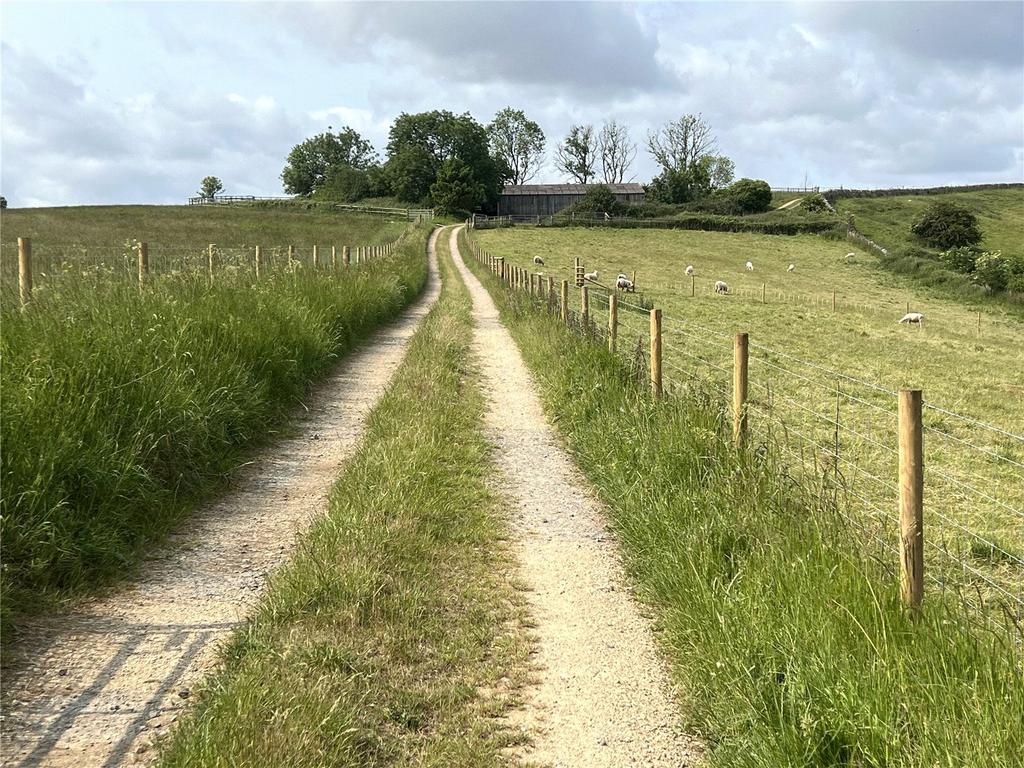 Picture No. 11
