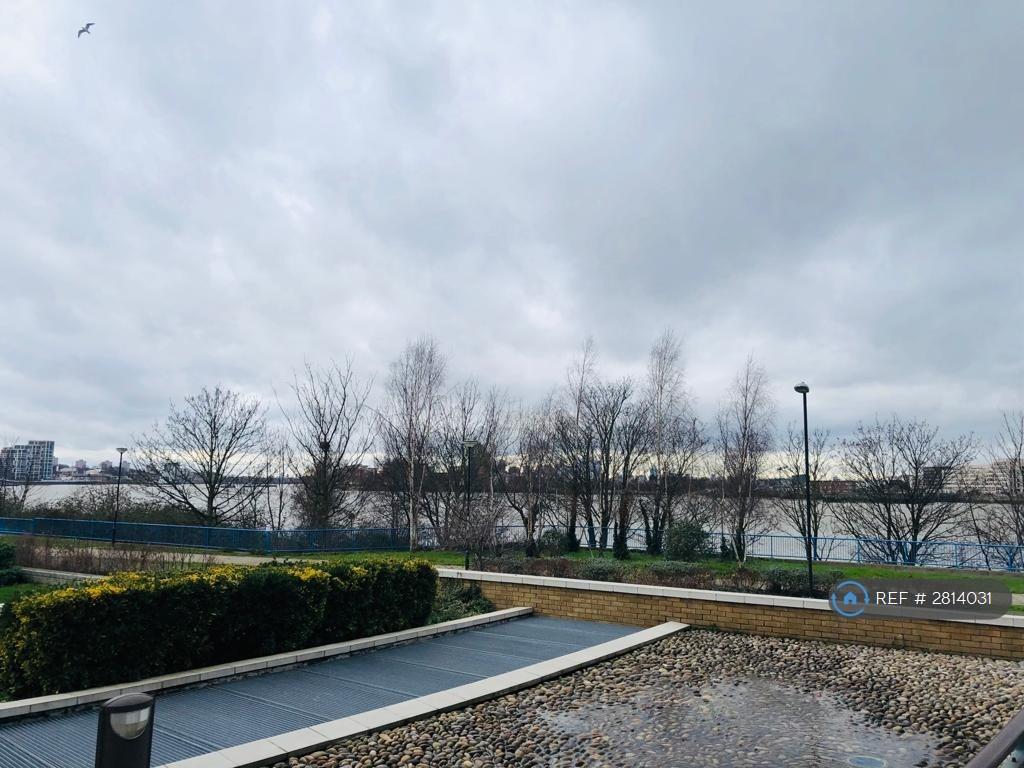 River Thames View