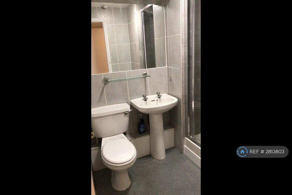 Ensuite Shower Room