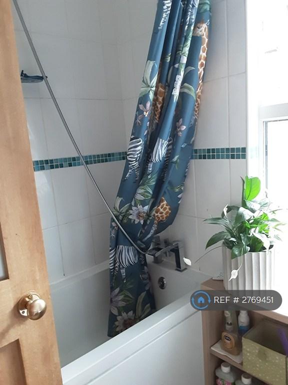 Shared Bathroom,  2nd Toilet Coming!