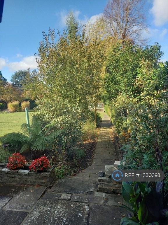 View From Kitchen