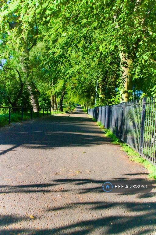 Beautiful Walk Along The Canal