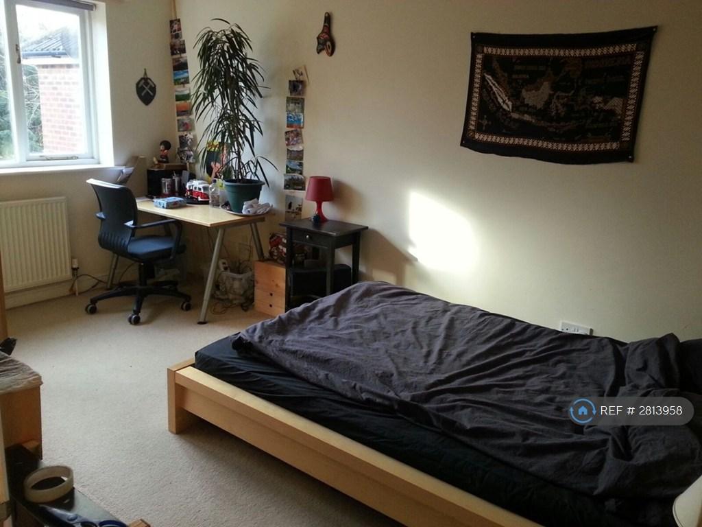 Bed1