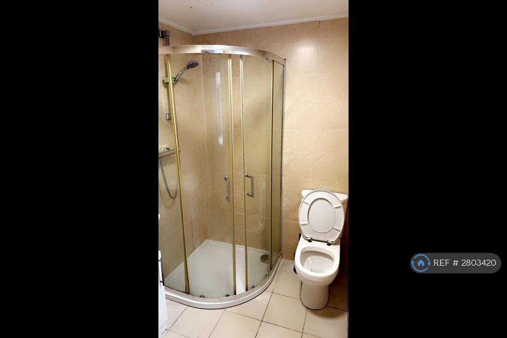 Downstairs Shower