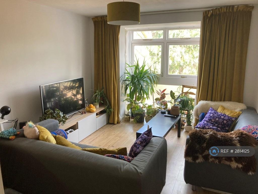 Living / Dining Room
