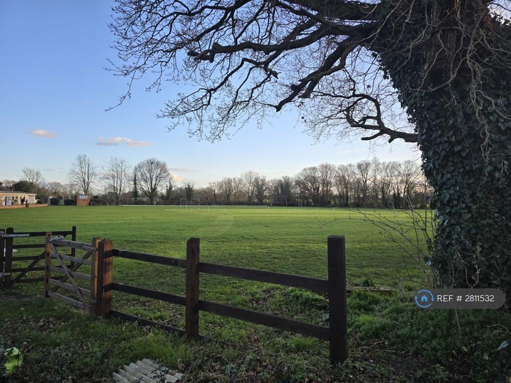 View From End Of Rear Garden