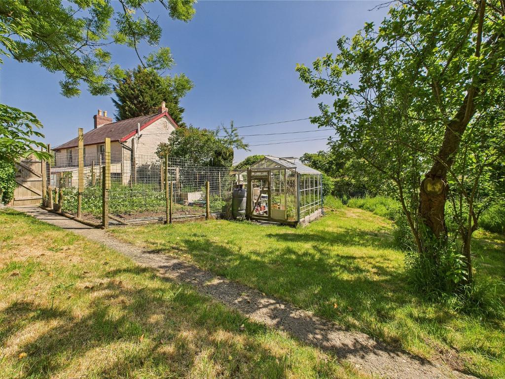 Vegetable / Fruit Garden