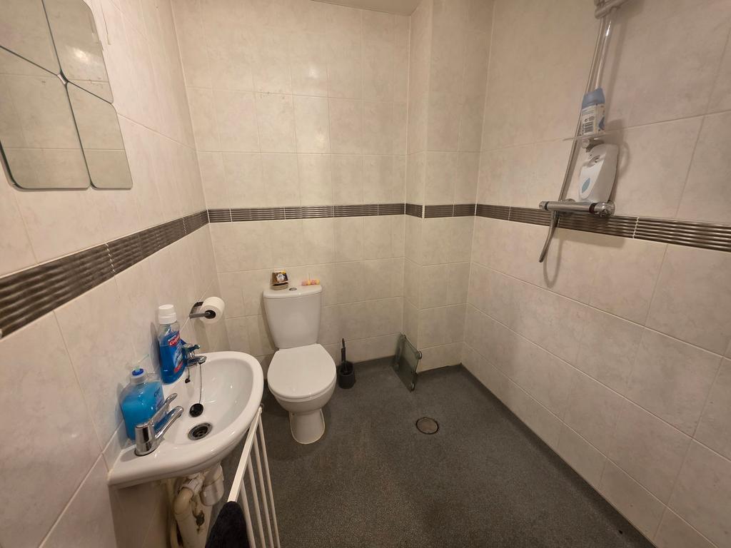 Downstairs wet room