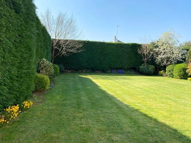 Garden 2