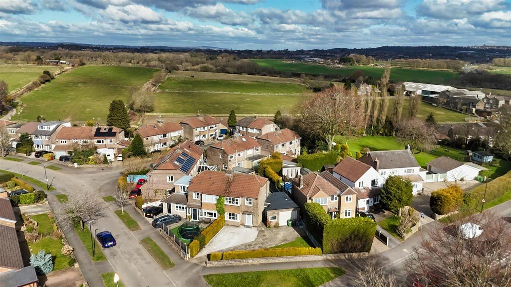 Dji 20250311111113 0449 d.jpg