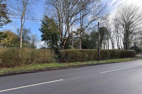 undefined, SUTTON GREEN