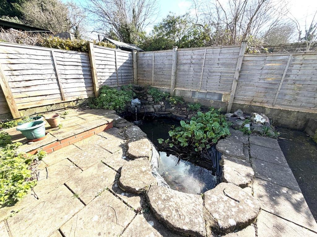 Pond.JPG