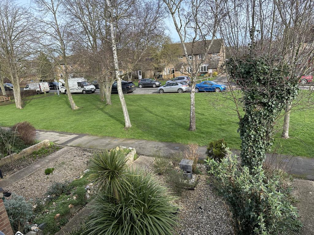 Garden 3.JPG