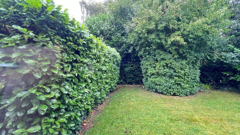 REAR GARDEN.jpg