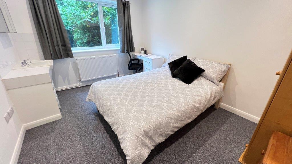 BED 5.0.jpg
