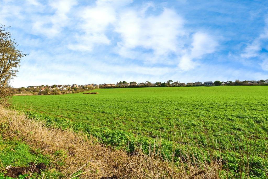 Picture No. 17