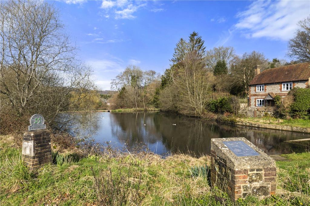 Pond