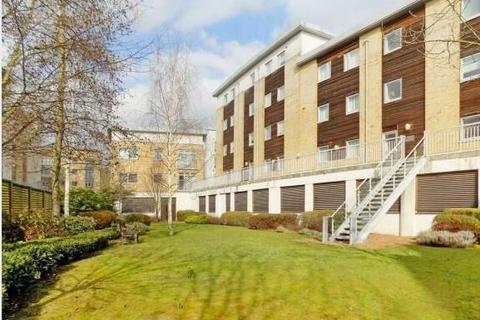 undefined, Kingfisher Meadow, Maidstone