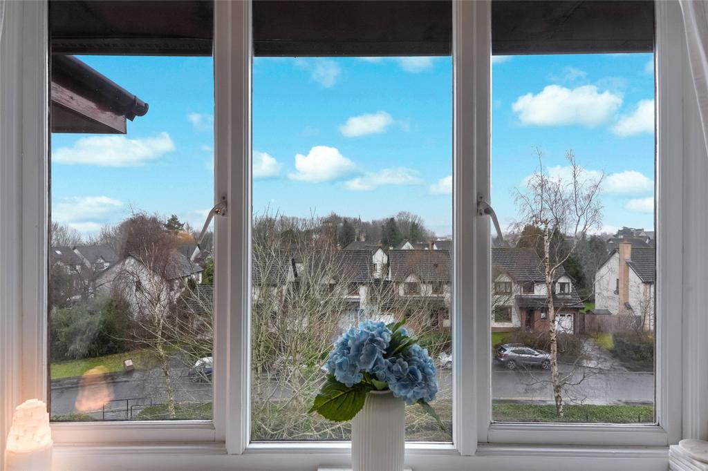 Window Views