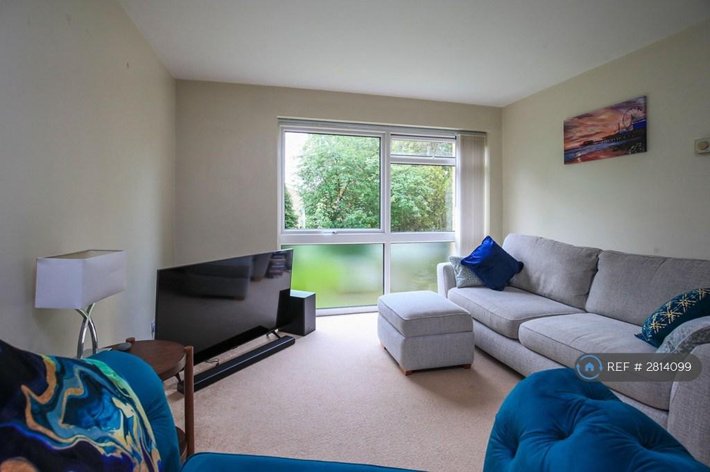 Living Room Area