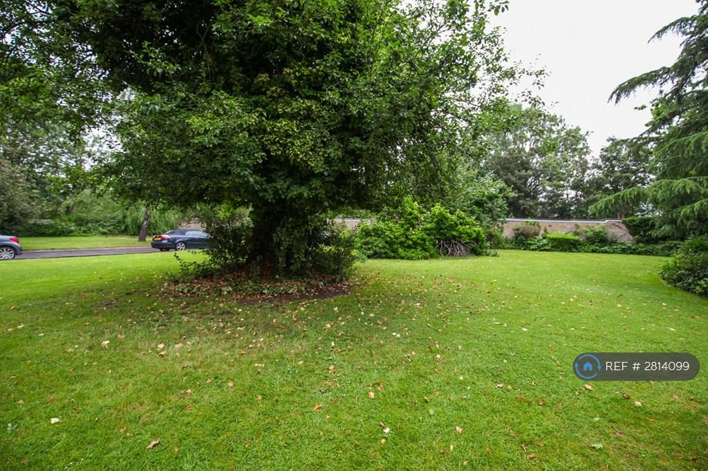 Communal Gardens