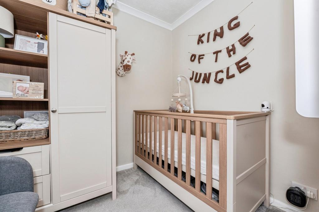 Pbox-IMG.jpg