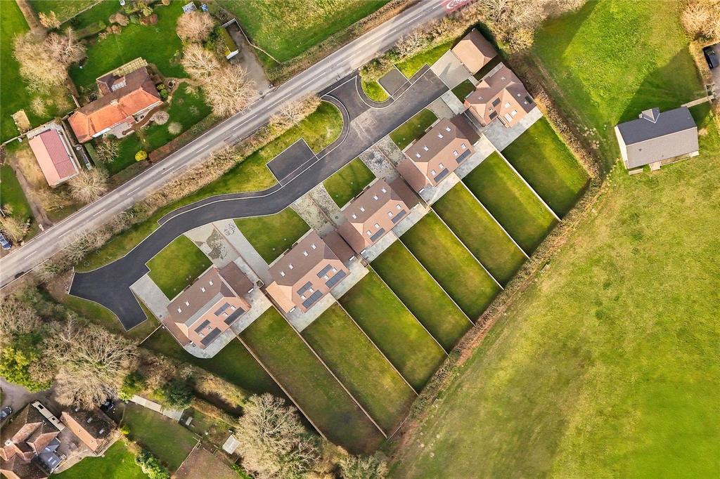 Aerial Shot