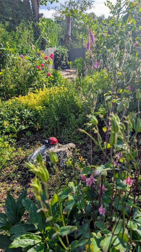 Cottage Garden in Summer