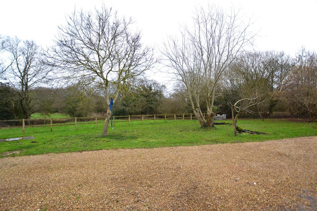 Dsc 1528.jpg