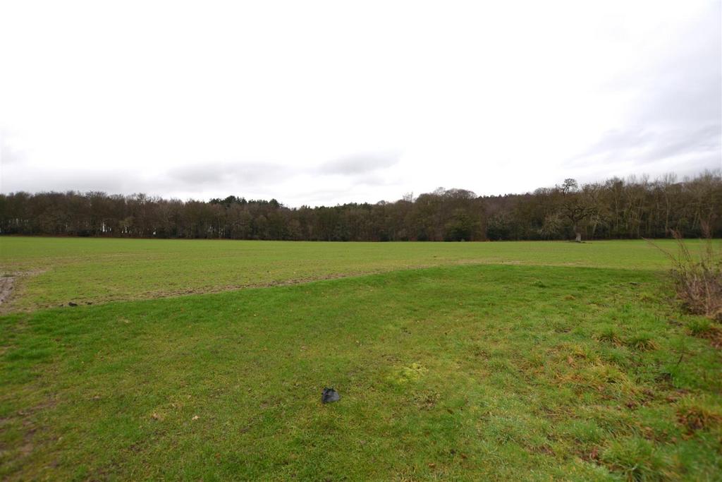 Dsc 1530.jpg