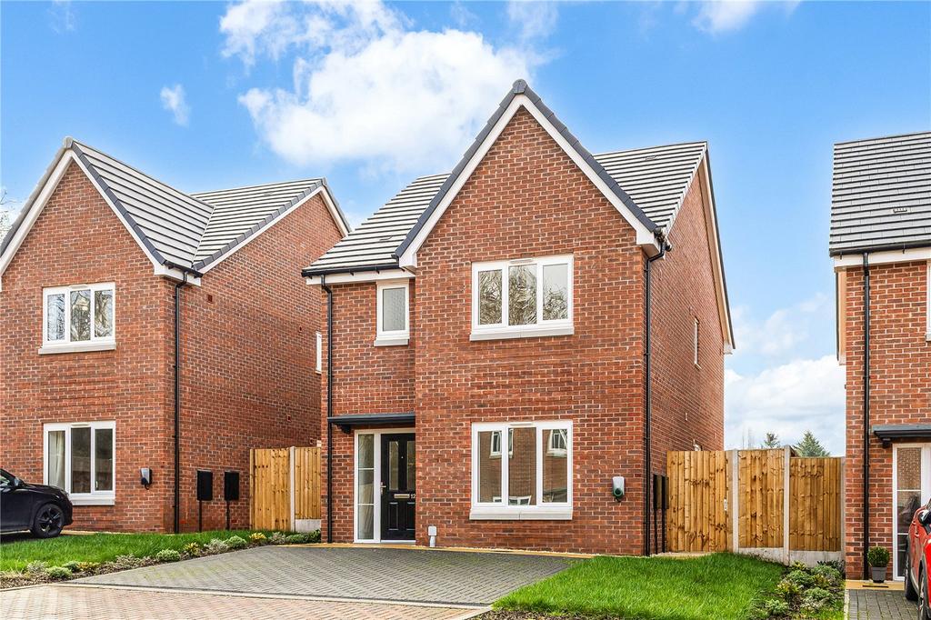 Plot 20