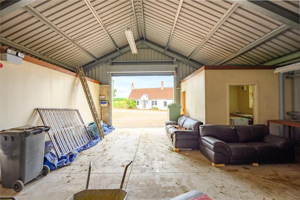 Green Shed