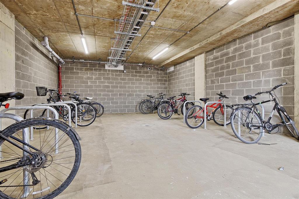 Cycle Store.jpg