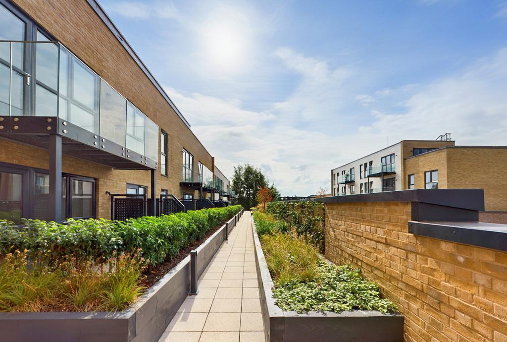 Roof terrace area