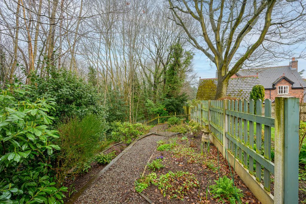 Woodland Garden 1