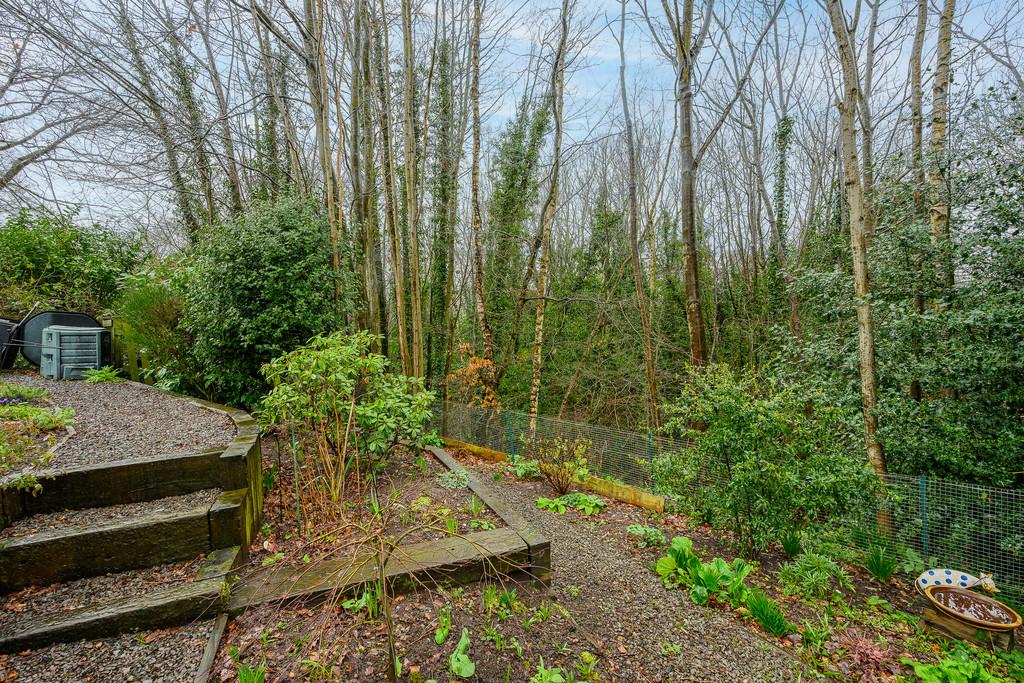 Woodland Garden 3
