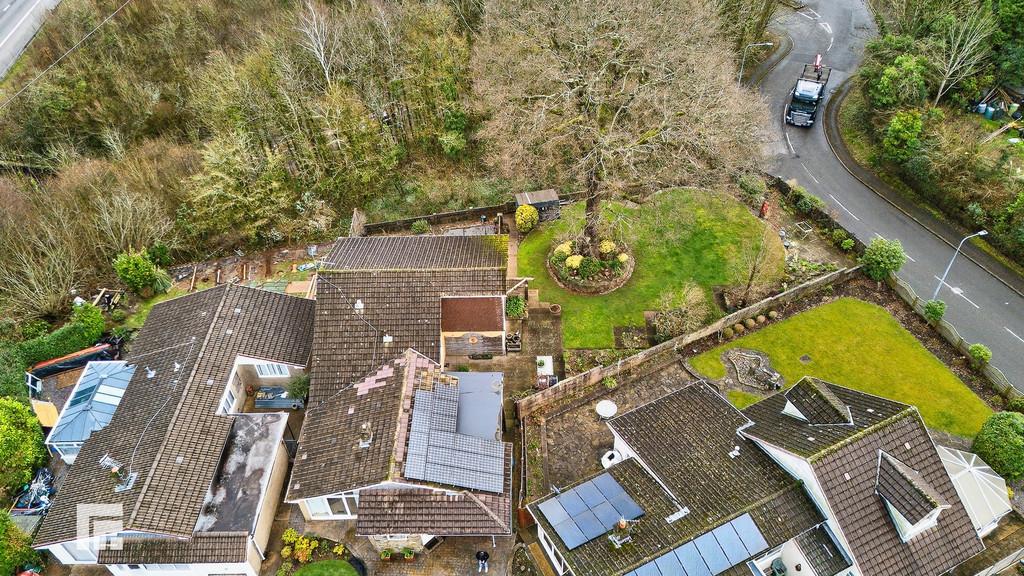 Dji 20260224105349 0463 d