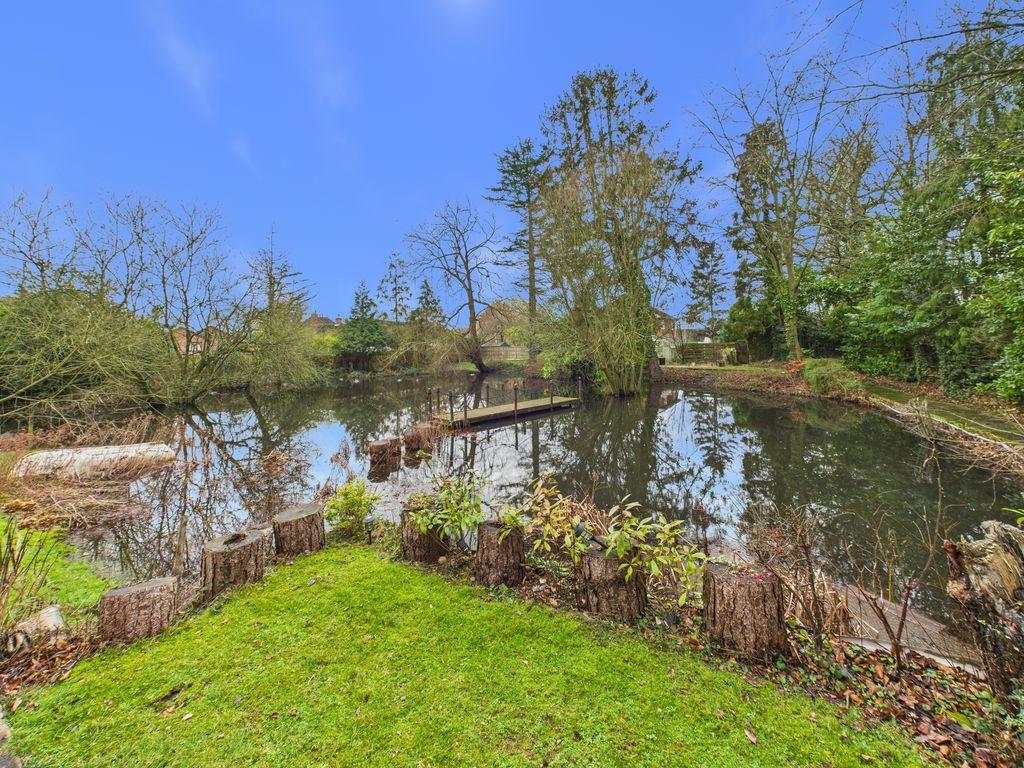 Pond