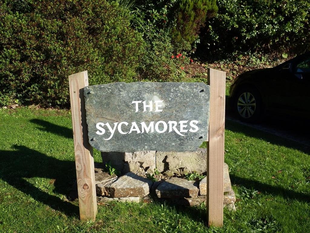 The Sycamores