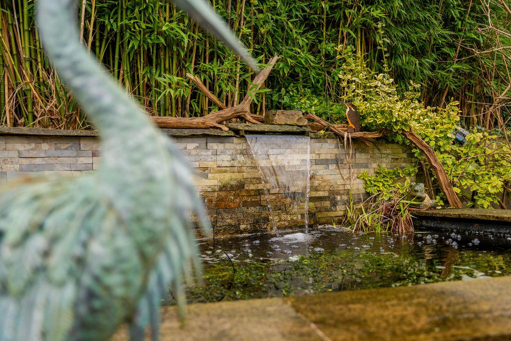Water Feature