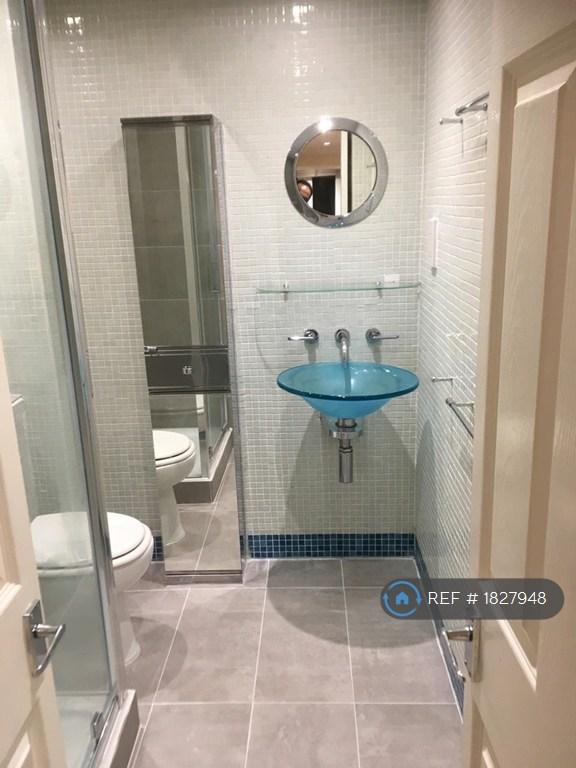 Ensuite Shower / Toilet