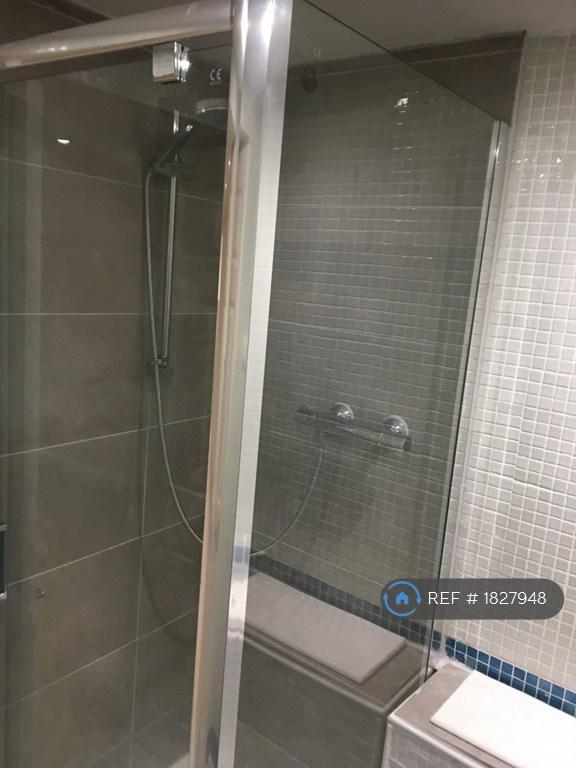 Ensuite Shower / Toilet