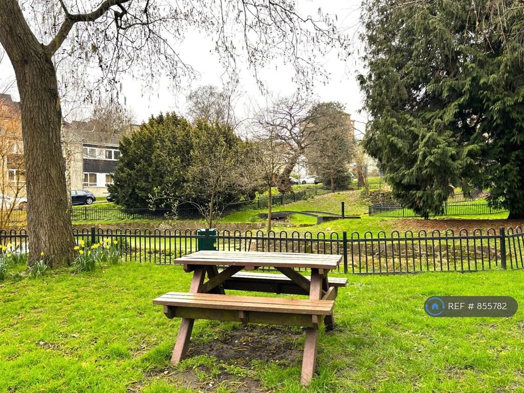 Communal Garden
