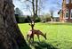 Additional image 23 of Donkey Lane, Bourne End SL8