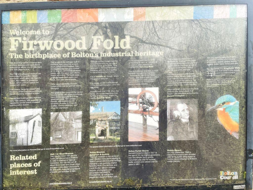 Firwood Fold