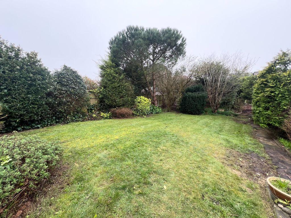 Back Garden