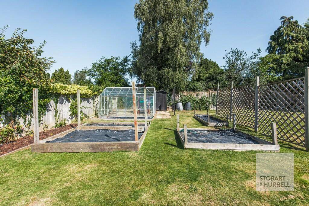Vegetable Patch