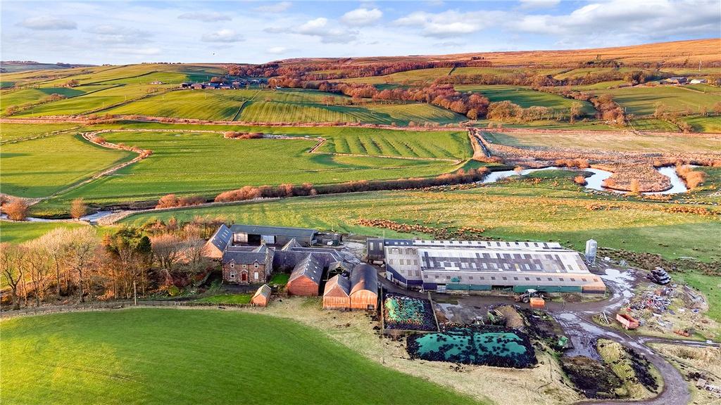 Blackwood Farm