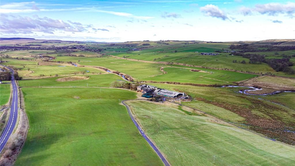Blackwood Farm