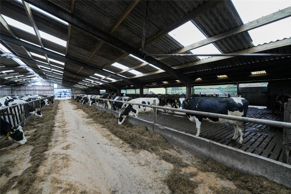 Dairy Complex